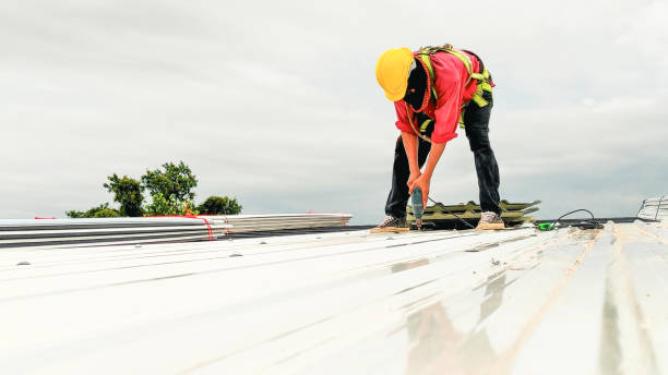 Professional Roofing in Perkasie, PA